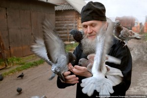 monk feeding pigeons